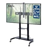 イーサプライ テレビスタンド 大型 55～100インチ目安 耐荷重100kg 高さ調節 テレビを付けたまま キャスター付き カメラ台 棚付き 角度調整 業務用 電子黒板 EEX-TVS015