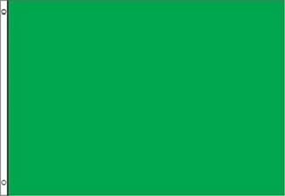 Solid Plain Green 2x3 2'x3' Polyester Advertising Flag