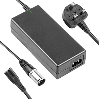 ARyee 24V 2A Scooter Battery Charger for Schwinn S150 S180 S200 S250 S300 S350 S500 X-CEL Zone 5, Bladez XTR SE Street Comp, Currie e-ride PHAT FLYER SE PHAT PHANTOM