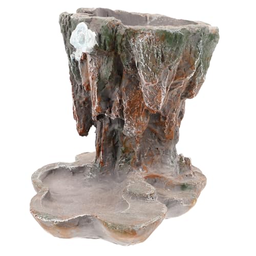 UKCOCO Maceta De De Helecho Espárrago Maceta para Suculentas De Interior Jardinera para Bonsáis Decoración De Jardín