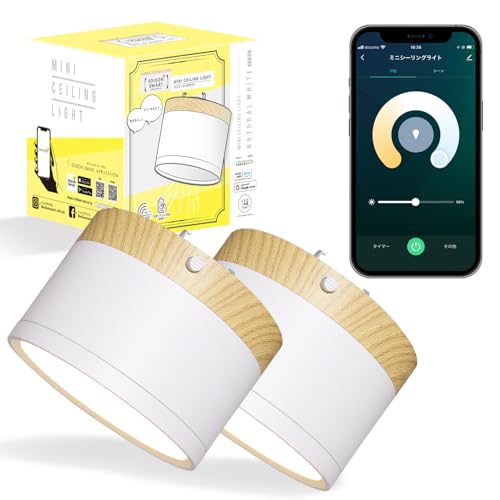 GW\X}[g CeAɓރEbh̃~jV[OCg (|V[Op/i`zCg)y2Zbgz AlexaΉ ؖڒ X}[gƖ X}[gCg X|bgCg pRΉ(ʔ)