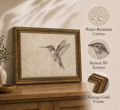 Image of Gold Framed 3D Textured Wall Art, Vintage Sketch Hummingbird Canvas Prints, Minimalist Neutral Birds Pictures Decor, Antique Naturalist Specimen Painting Artwork for Living Room Bathroom 16x24 in
