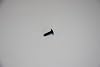 WB1K5029 Durable Wall Oven Screw Compatible with AP2007400 243047 347190 AH234136