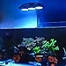 NICREW HyperReef 200 Gen 2 Reef LED Light, 200W Reef Aquarium Lighting for SPS LPS Corals and Saltwater Fish Tanks, Enhanced Violet and Blue Spectrum, Wide Angle Lens, 5 Channels Fully Programmable