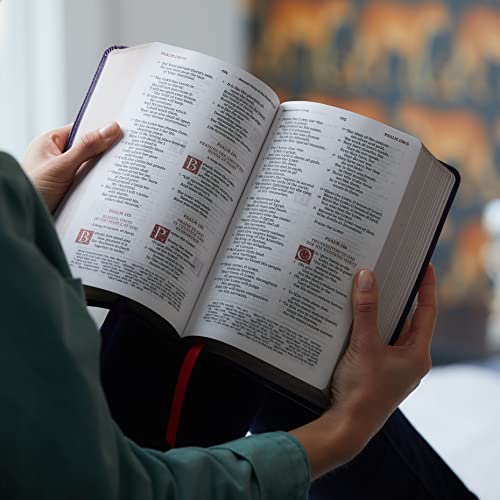 Nkjv, Personal Size Reference Bible, Sovereign Collection, Leathersoft, Brown, Red Letter, Comfort P