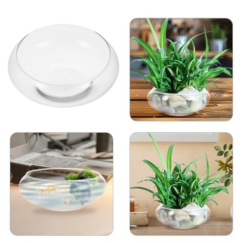 Operitacx Blumentopf Aus Glas Pflanzschalen Für Seerosen Schüssel Terrarium Sukkulenten Pflanzer Hydroponische Pflanzschale Kugelförmiges Terrarium Aquatischer Büro Aquarium Aus Glas