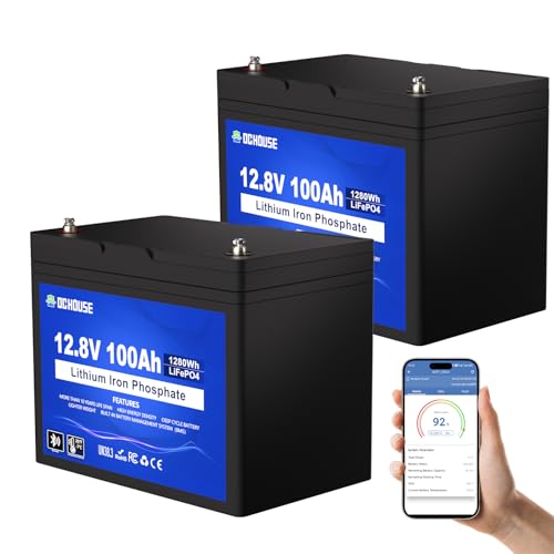 DC HOUSE 12V 100Ah (2 Pack) LiFePO4 Lithium Battery, Bluetoo