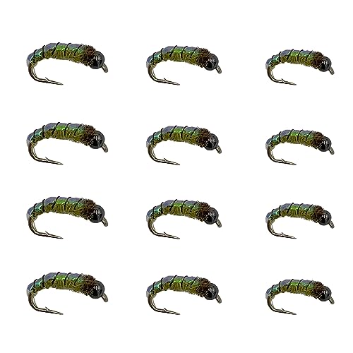 Feeder Creek Fly Fishing Flies | Electric Caddis Nymph Assortment | Sizes 14,16,18 | Trout and Bass Flies | 12pc Fly Fishing Kit | Nymph Patterns