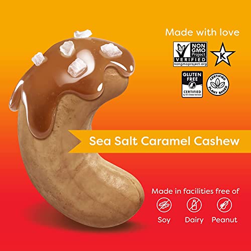 Octonuts Dry Roasted Sea Salt Caramel Cashew 16Oz Nut Butter - Pure Creamy Nut Butter - Heart Healthy And Delicious Keto Friendly Foods - Gluten Free, Vegan, Kosher, Paleo, Non-Gmo Nut Butters #TOP6