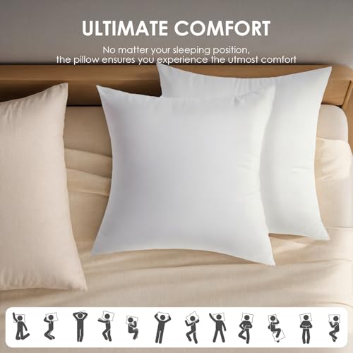 Set 2 Almohadas Hamaca 20x20in 100% Poliéster miniatura 6