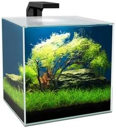 Ciano Cube Glass Aquarium Includes LED Lights & Filter (Cube 15 (14 Litres))