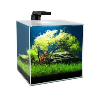 Ciano Cube Glass Aquarium - Cube 15 (14L) with LED Lights & Filter