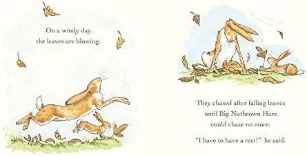 fun zone cricket t20 fever today