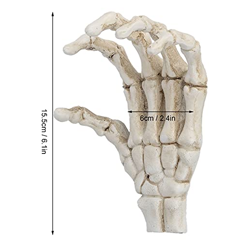 Image of Yosoo Halloween Skeleton Hands,High Hardness Light Weight Hand Bone Ornaments,Providing Medical Students with Hand and Wrist Structure and Descriptive Details
