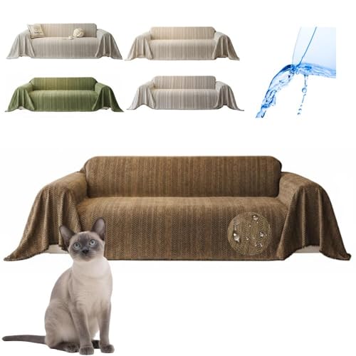 Lifetips TCA~[Y VL Siamese \t@[Jo[ k  􂦂 h }`Jo[ 2l| 3l| It IȂ ~ Eh~ LΉ lGʗp iuEj i130180CMj