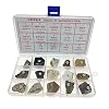Sedimentary Rock Specimen Rock Collection Real Stone Teaching Aid Ages 8 Up