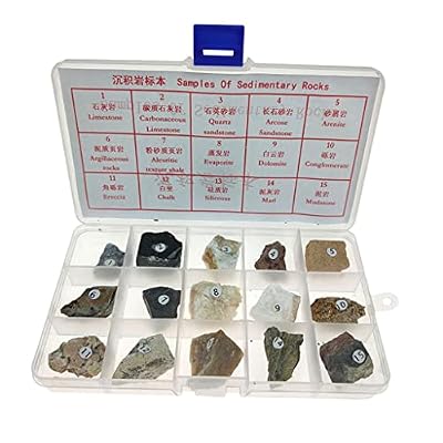 Sedimentary Rock Specimen Rock Collection Real Stone Teaching Aid Ages 8 Up