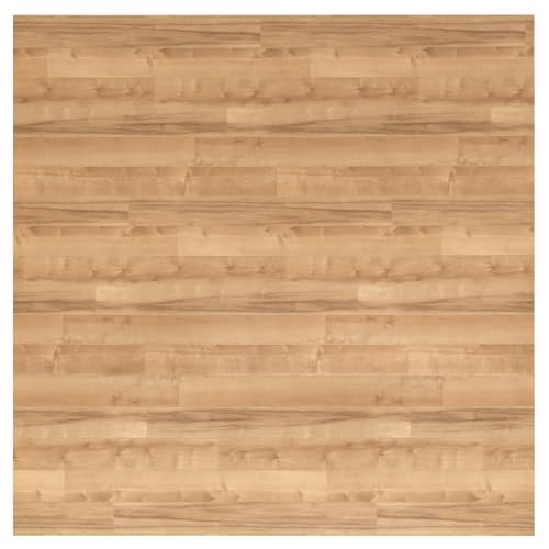 ڂƋ { NbVtA u 4.5 ]ˊ tAV[g t[Jbg ی}bg h R hJr g[Ή t[O ؖڒ n[hCv