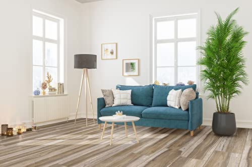 Msi Glendale Xl Luxury Vinyl Flooring, Rigid Core Planks, Lvt Tile, Click Lock Floating Floor, Waterproof Lvt, Wood Grain Finish, Sample Plank, Robusto #TOP3