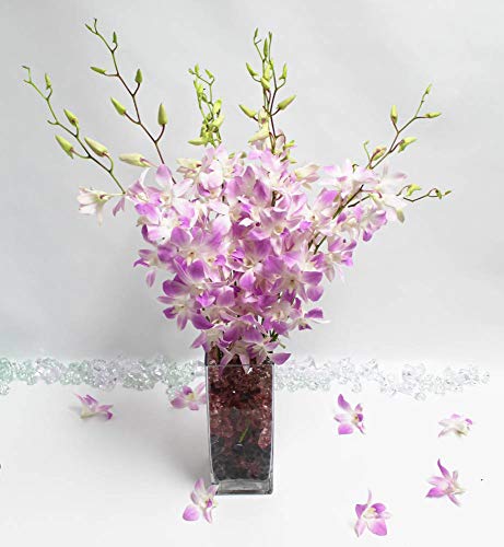 20 Fresh Pink Misteen Dendrobium Orchids Stems In Sleek Glass Vase, Long Stem #TOP11