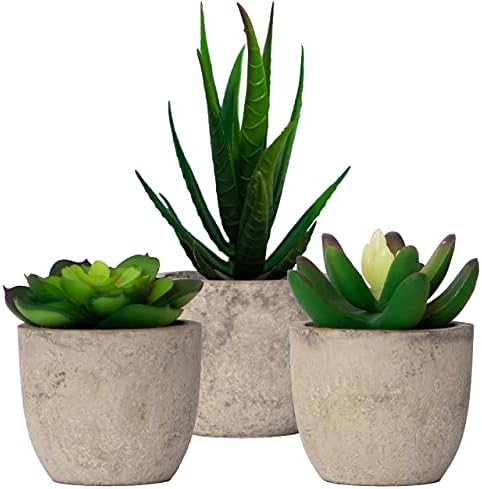 Set of 3 Succulents Plants Artificial Small Fake Plants Bedroom Aesthetic, Potted Fake Succulent Office Desk Decor, Faux Succulents in Pots Fake Plant Decor Cactus Decorations Mini Fake Plants Office