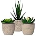Artificial Succulent Plants With Cement-Like Pots (3 Piece) Realistic Greenery Mini Potted Faux Plant Arrangements | Home Décor, Office, Dorm Room, Bathroom or Restroom, Kitchen Table Centerpieces