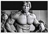 DPFRY Arnold Schwarzenegger Fitness Toile Art Affiche Et Mur Art Photo Impression Moderne Maison Chambre Décoration Affiche Jf188Xp 40X60Cm sans Cadre