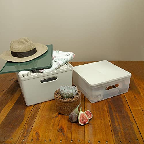 Caixa Organizadora com Tampa, Soul, Média, Cristal/Rosa, Protêa