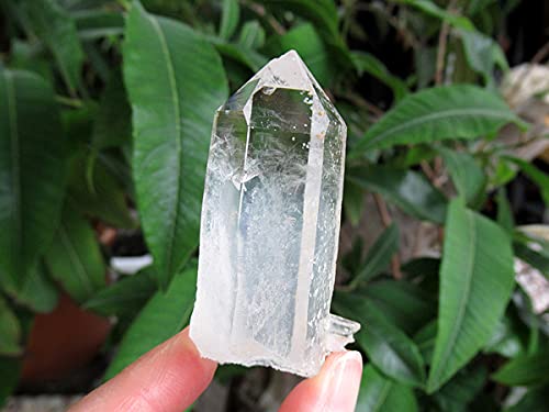 Amazon.co.jp: チタニウムインクォーツ（パスウェイクォーツ）原石