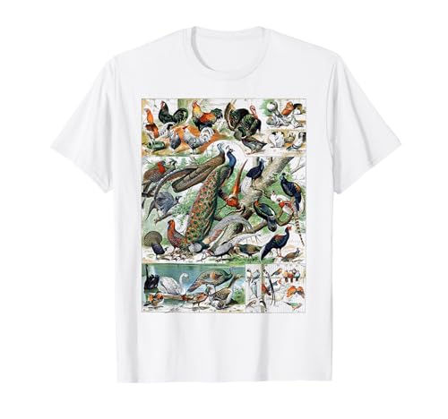 Vintage Bird Nature Birding Watcher Watching Ornithology T-Shirt