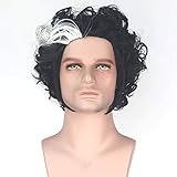 Artjosy Movie Character Cosplay Wigs for Men Short Black with White Highlighted Curly Costume Wig for the Theme Party Heat Resistant Full Machine Made Synthetic Wig in the Halloween