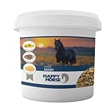 Happy Horse