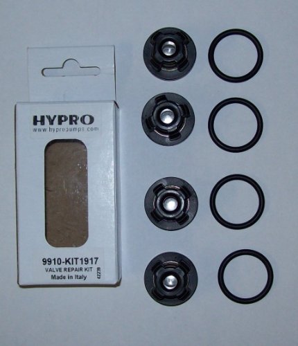 HyPro 9910KIT1917 Valves D30