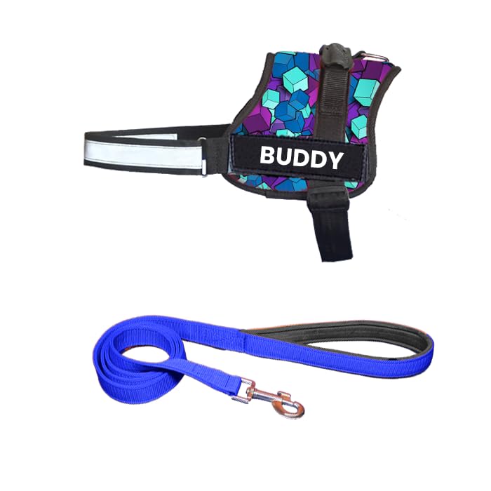 Image of Blue Diamond Dog Vest Harness with Leash, No Pull & Reflective