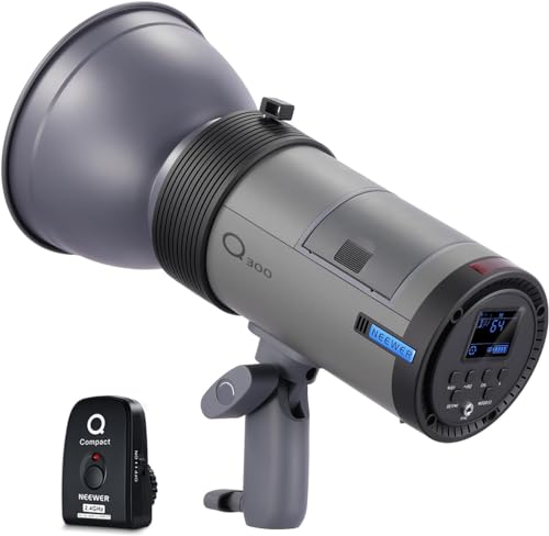 NEEWER Q300 Outdoor Studio Flash with Wireless Trigger