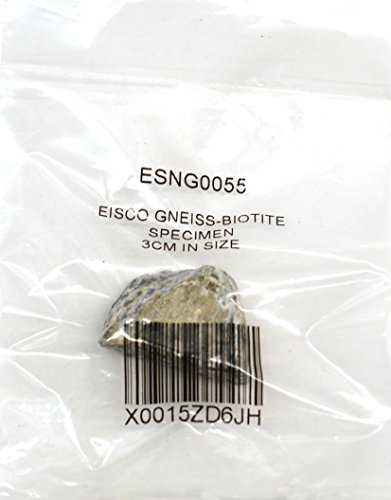 EISCO Biotite Gneiss Specimen (Metamorphic Rock), Approx. 1\" (3cm)