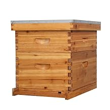 VINGLI 10 Frames Beehive, Complete Beehive Kit Includes 1 Deep Boxes, 1 Medium Box, Frames and Waxed Foundations, for Yard, Field, Bee Farm 2 Layer
