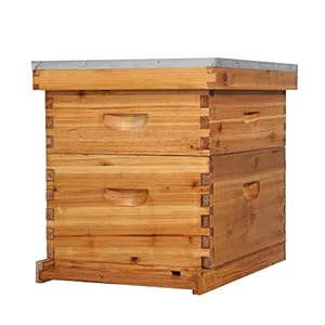 VINGLI 10 Frames Beehive, Complete Beehive Kit Includes 1 Deep Boxes, 1 Medium Box, Frames and Waxed Foundations, for Yard, Field, Bee Farm (2 Layer)