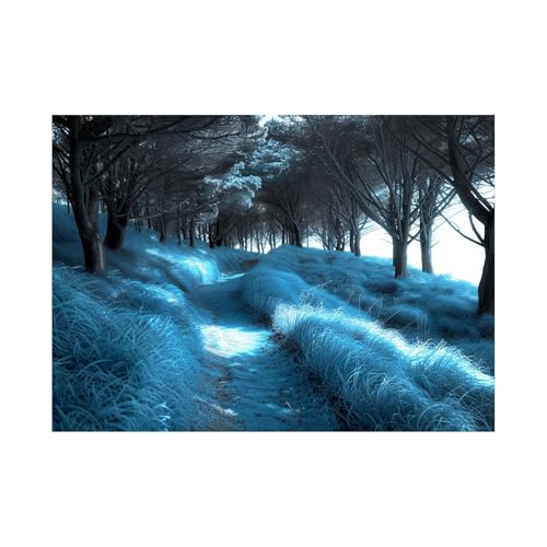 Tableau nature paysage pour salon et chambre déco murale moderne forêt abstraite