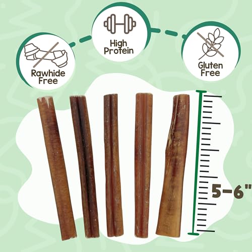 Image of Nature Gnaws Large Bully Sticks for Dogs 5-6 inch (10 Count) - Thick Long Lasting for Aggressive Chewers and Large Dogs - Natural Beef Dog Chew Bones