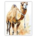 Druck-Palast Kamel Tierposter - 40x50cm - Kunstdruck Poster 