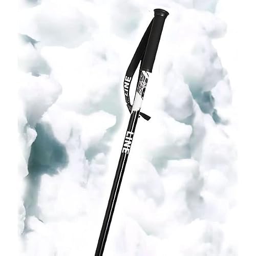 LINE(ライン) スキーポール 2023 TAC White-Black アルミシ