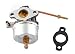 PODOY 631918 Carburetor with Gasket for Tecumseh Carb HS40 4HP HS50 5HP Engine Lawn Mower