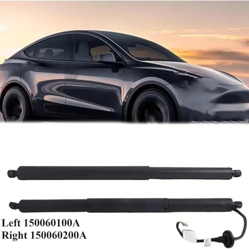 Vérins à gaz haut de gamme pour hayon électrique Tesla Model Y