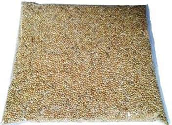 Retail Charms, Foxtail Millet (Kangni)/ Yellow Millet(Pasco) Bird Seed/Food 1kg for Canary, Finches, Budgies, Lovebirds, Cockatiels and Small Birds (B0BYNCWJFB) Amazon Price History, Amazon Price Tracker