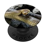 Äskulapische Schlange PopSockets mit austauschbarem PopGrip