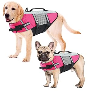 ALAGIRLS Dog Life Jacket, High Buoyancy Pet Safety Swimsuit, Puppy Floatation Life Jacket, Dog Preserver Lifesaver with Rescue Handle for Swimming, Boating, Beach, ALADLJ002-XIN-Pink, S