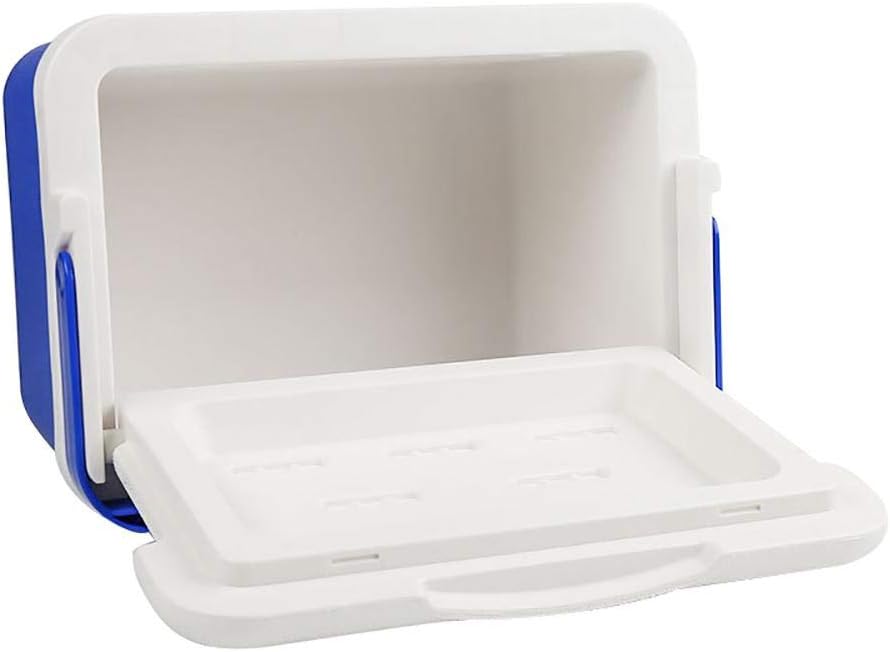 Mini Fridge Cooler box 6L Cooler and Warmer Compatible with Car Home Portable Refrigerator Milk Food Insulated Carrier with Handle Car incubator