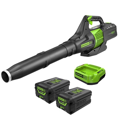 Image of Greenworks 60V (450 CFM / 140 MPH) Cordless Leaf Blower (Turbo Button, Variable Speed Trigger, 2.0Ah Battery, Rapid Charger + Bonus 4.0Ah Battery
