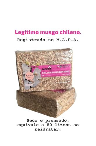 Musgo esfagno para orquídeas, importado do Chile, seco, tratado e prensado. Pct. 1 KG. equivale a 80
